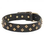 Diamond Studded Dog Collar, Wide, Thick and Soft Leather