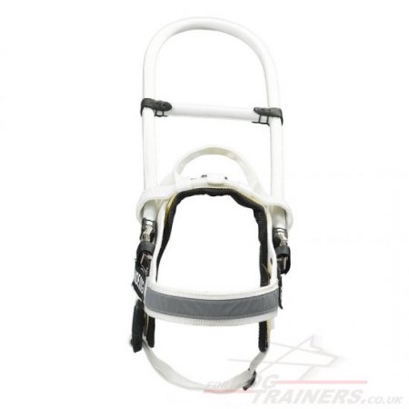 "Your Lifeguard" Strong Nylon Dog Harness For Assistance Dogs