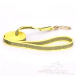 Stylish Water-Resistant Nylon Training Lead For Dogs 0.8" Width_1