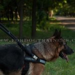 Guide Dog Harness with Handle and Reflective Front Strap