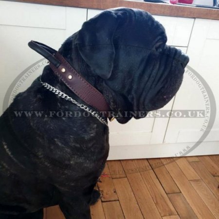 Best Leather Dog Collar XL | Agitation Dog Collar with Handle