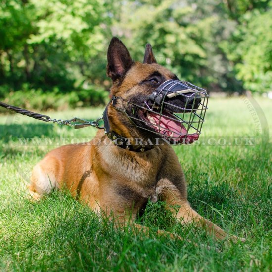 Wire Dog Muzzle for Malinois UK Bestseller