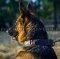 Elegant German Shepherd Leather Dog Collar