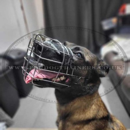 Wire Dog Muzzle for Malinois UK Bestseller