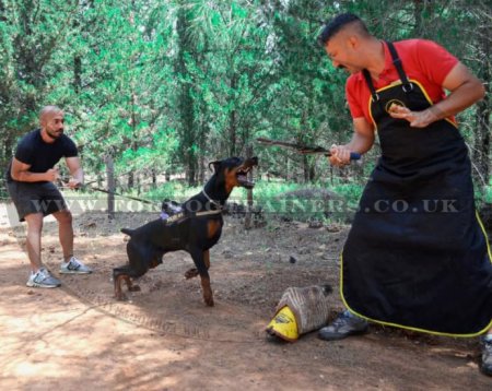 Dog Trainer's Apron Made of Leather for Dog Training