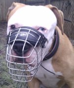 American Bulldog Muzzle Best Design | Basket Dog Muzzle UK