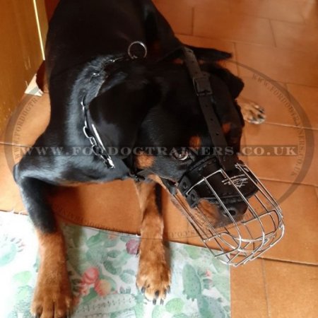 Rottweiler Muzzle UK Bestseller | Wire Dog Muzzle Reliable Fit