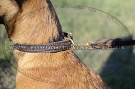 Braided Leather Dog Collar for Belgian Shepherd