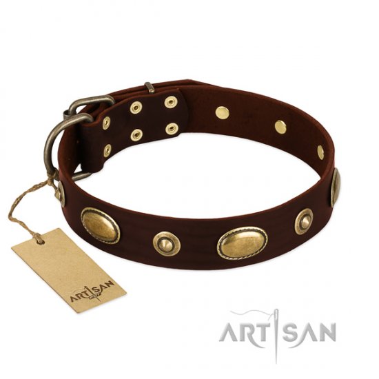 Strong Dog Collar of Brown Leather "Ancient Rome" FDT Artisan