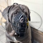 Strong and Soft Leather Dog Muzzle UK Bestseller_9