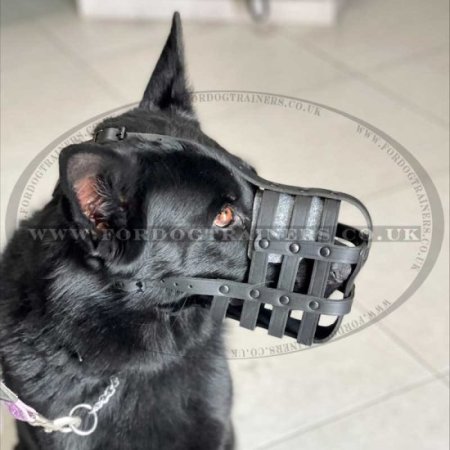 Leather German Shepherd Muzzle Size UK Bestseller