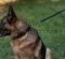 The Best Dog Leash for German Shepherd Puppy and Big Dog