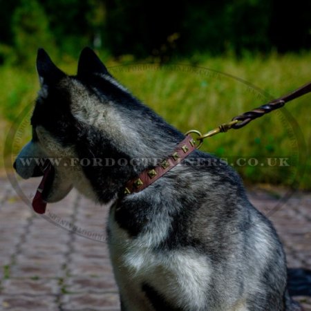 Husky Collar UK New Design | Studded Leather Dog Collar