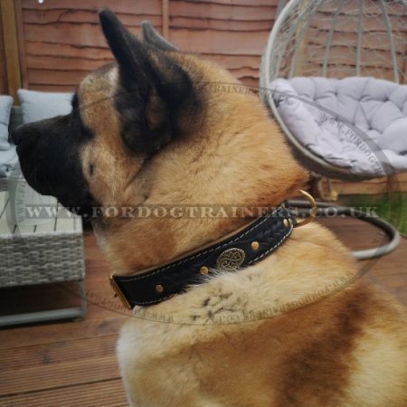 Luxury Handmade Leather Dog Collar UK Bestseller "Royal Style"