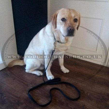 NEW Leather Dog Lead | Large Dog Lead Best Quality!