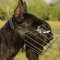 Best Wire Basket Dog Muzzle for Giant Schnauzer Size