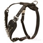 Gorgeous Large Leather Dog Harness with Silver Spikes