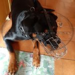 Dog Muzzle Large & Small 30 Special Dog Sizes UK Bestseller_3