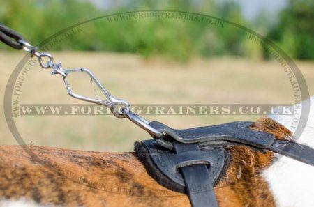 "Jewel" Exclusive American Bulldog Harness UK Adorned With Pyramids