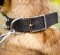 Adjustable Dog Collar with a Buckle and Glancing Spiked Design