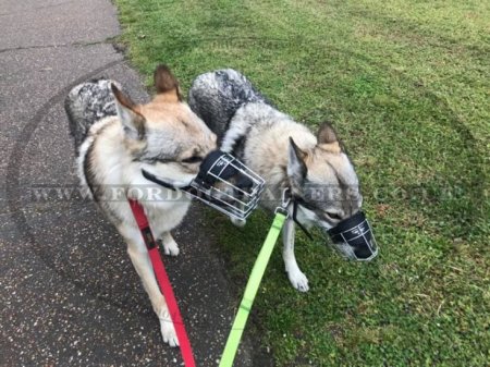 Wire Dog Muzzle that Allows Dog Drinking | Newfoundland Muzzle