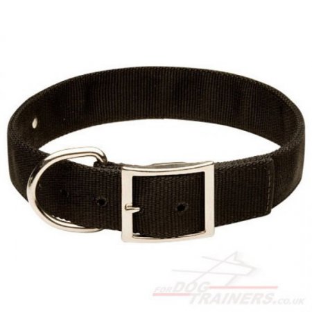 ID Dog Collar Size for Husky in Nylon