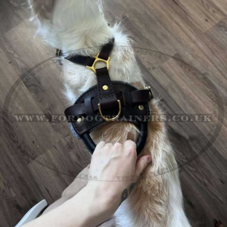 Large Leather Dog Harness UK Bestseller K9 Padded