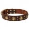 Strong Stuff Dog Collars with Brass Decorated Style