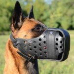 Leather Dog Muzzle for Malinois | Strong K9 Dogs Muzzle