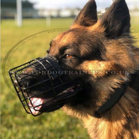 Black Rubber Covered Wire Dog Muzzle for Winter & Summer, Allows Drinking