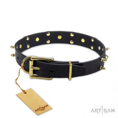 Stylish Brass Studded Black Leather Dog Collar FDT Artisan