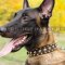 Luxury Dog Collar for Malinois | Spiked Dog Collar Glance Style