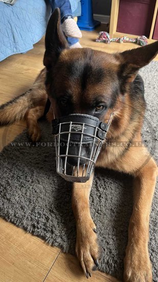 German Shepherd Muzzle that Allows Drinking Super Ventilated