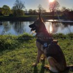 K9 Dog Harness No Pull Front Clip to Stop Dog Pulling on Lead_12