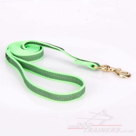 Top-Quality Nylon Training Lead For Dogs Ultramodern Design