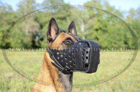 Leather Dog Muzzle for Malinois | Strong K9 Dogs Muzzle