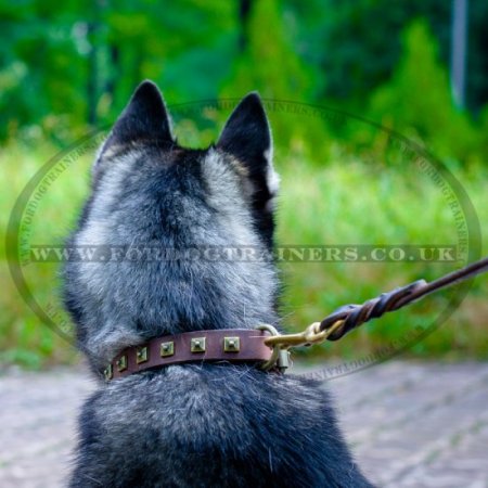 Husky Collar UK New Design | Studded Leather Dog Collar