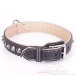 "Cone" Extravagant Black Leather Dog Collar With Studs_1