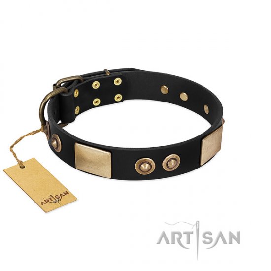 The Best Big Boy Dog Collar with Brass Fittings "Smarty" Artisan
