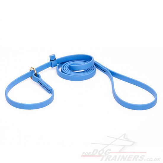 Blue Dog Leash and Collar Choker Set Combo, Biothane