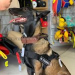 K9 Dog Harness No Pull Front Clip to Stop Dog Pulling on Lead_20