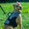 Outdoor Pitbull Dog Harness Vest for Winter with Support Handle