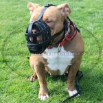 Strong and Soft Leather Dog Muzzle UK Bestseller_10