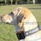 Dog Training Collar for Labrador | Nylon dog Collar for Labrador