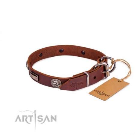 Studded Chocolate Brown Leather Dog Collar For Active Walking