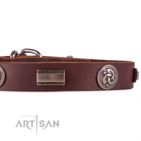 Studded Chocolate Brown Leather Dog Collar For Active Walking