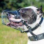 Pitbull Muzzles UK Bestsellers | Wire Dog Muzzle for Pitbull