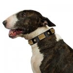 "Black Corsair" Stunning Black Leather Dog Collar With Studs FDT Artisan_5