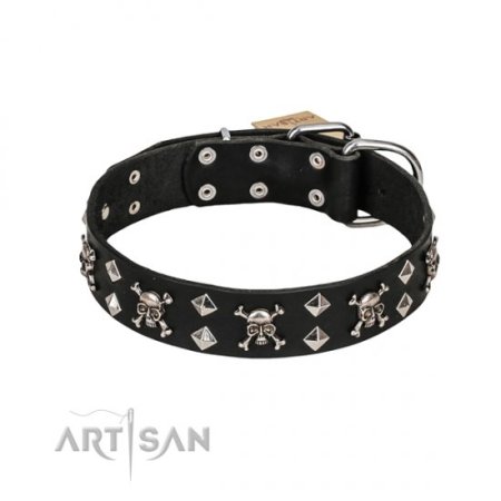 Luxury Leather Dog Collar FDT Artisan with Skulls and Diamonds