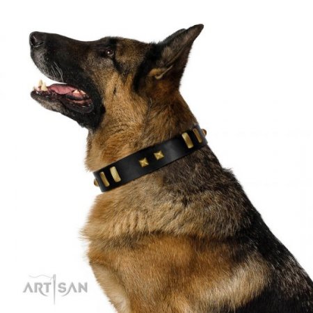 "Fit For Royalty" Charming Black Real Leather Dog Collar With Brass Adornment FDT Artisan